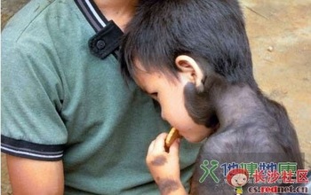 В Китае живёт «волосатый мальчик», который болезненно переносит стрижку