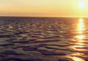 Лаптевых море