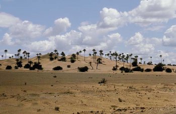 Ливийская Пустыня